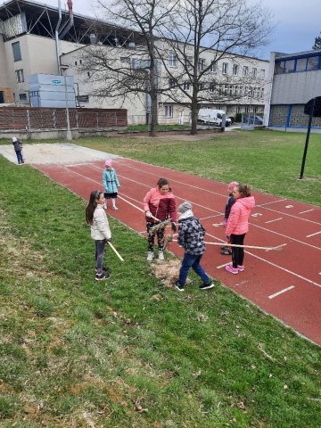den zem 01